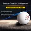 Double Fish Table Tennis Balls