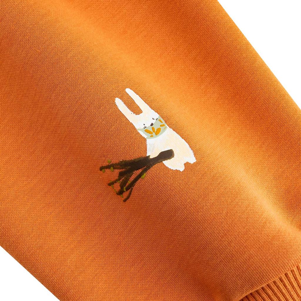Anta Autumn Cross-Border Collaboration Casual Sports Hoodie Unisex hoodies 972618701-2
