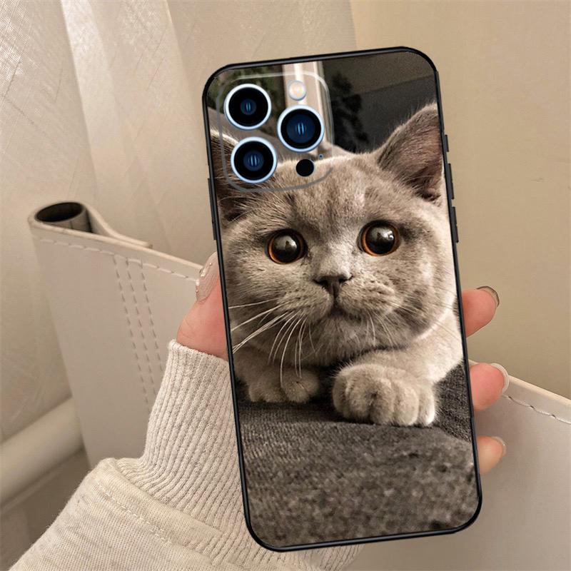 British Shorthair Cat Phone Case For iPhone 16 15 14 11 12 13 17 Pro Max Mini 15 16 Plus 16e 17 Air Cover Coque