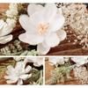 [SOUBIEN] Soubien Coming-of-Age Ceremony Hair Ornament Set, Dried Flower Style Artificial Flowers, 6 Pieces, White and Green Flowers (sbn-kaz10020)