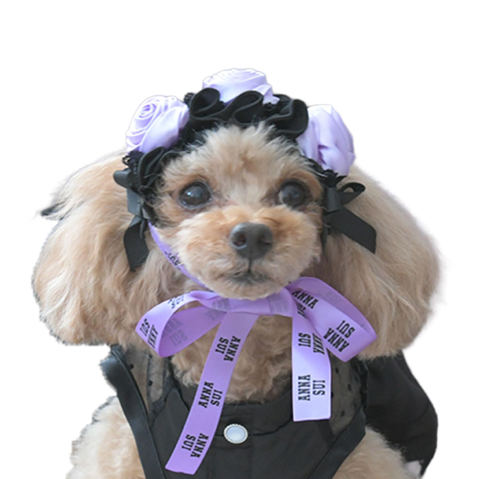 

ANNA SUI Rose Design Head Dress | Pet Supplies, Dog Accessories, Halloween, Stylish, Outings, Walks, Travel, Outdoors