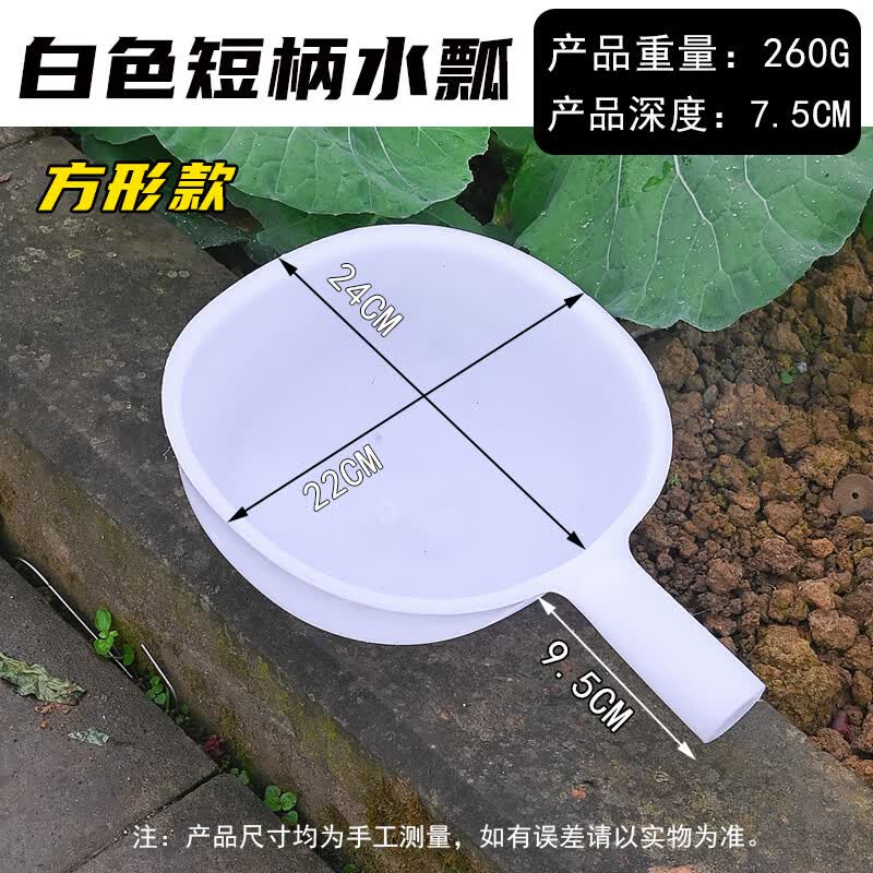Durable Plastic Water Ladle