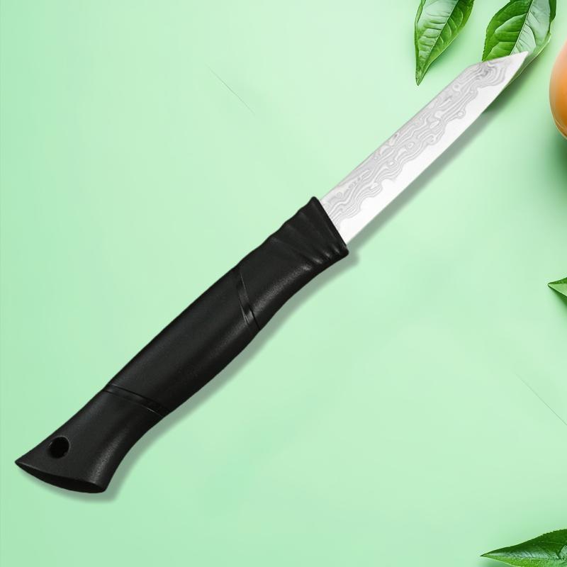 Schälmesser 67 Lagen Damaststahl VG10 Stahlkern Scharfes Allzweckmesser Obst- und Gemüseschäler Haushaltswerkzeug Canivetes