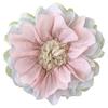 Regalo Paper 100th Day Make Fairy Single 1 Flowers, Decorations, Birthday, Celebration, Flowers, (Rainbow, Flower)