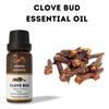 Ananta Clove Bud Essential Oil 10 Ml – Warm Spicy Aroma Oil for Diffuser & Home Fragrance