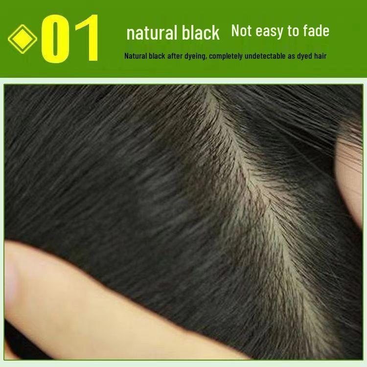 Plant-Based Hair Dye Cream: Non-Staining, Gray Hair Coverage, Home Use, 500ml (Pack of 2)