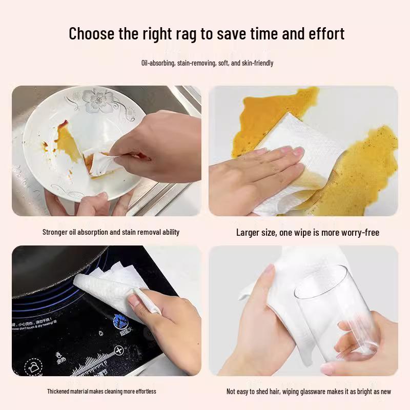 Newcomer Special: Disposable Hanging Paper Towel & Oil-Absorbing Dishcloth