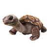Taiyo Sangyo Boeki Wild Graphy Giant Tortoise Plush Toy SA041
