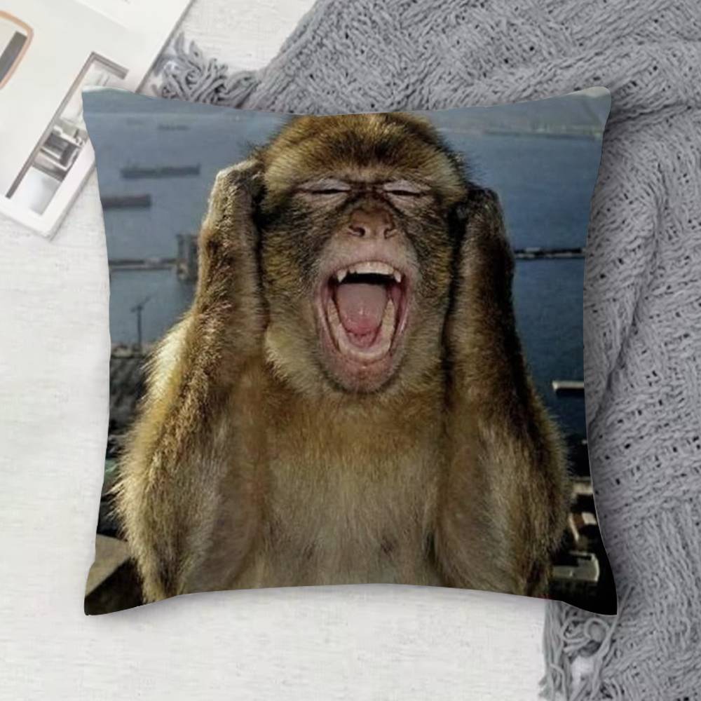 Monkey Music Sipping Meme Doublesided Printed Square Decorative Cushion Cover for Sofa Living Room Home Decor
