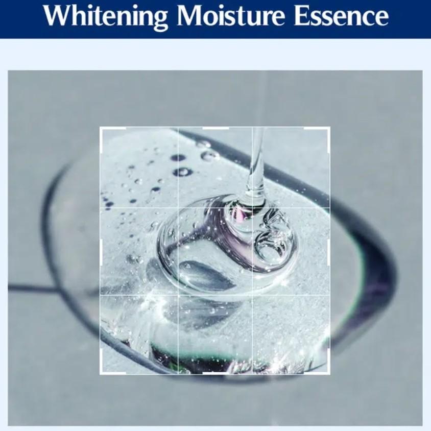[NACIFIC] Whitening Moisture Essence (30ml) / Phyto Niacin Whitening Moisture Cream (50ml)