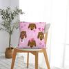 Dachshund Valentines Day Throw Pillow Cover Throw Pillow Dogs Animal Funny Pillowcase