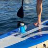 1PC New Outdoor Kayak Drink Holder Surfboard Water Bottle Holder Beverage Silicone Holder