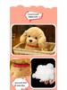 Teddy Dog Plush Toy: Children's Soothing Doll & Activity Gift