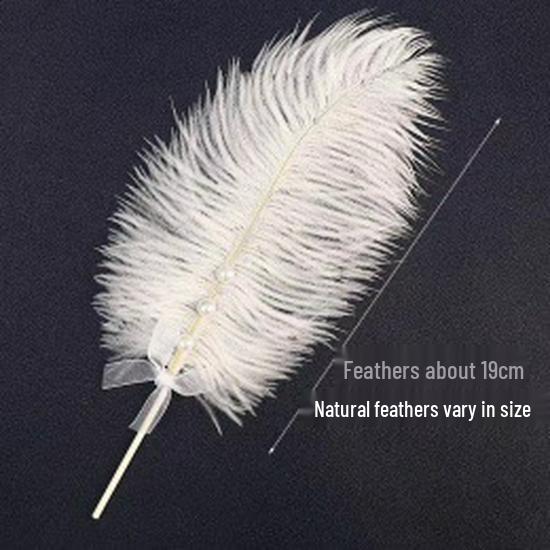 Coroană de Prințesă pentru Zi de Naștere cu Aripi de Pene, Perle și Cristale – Mini Accesorii pentru Copii