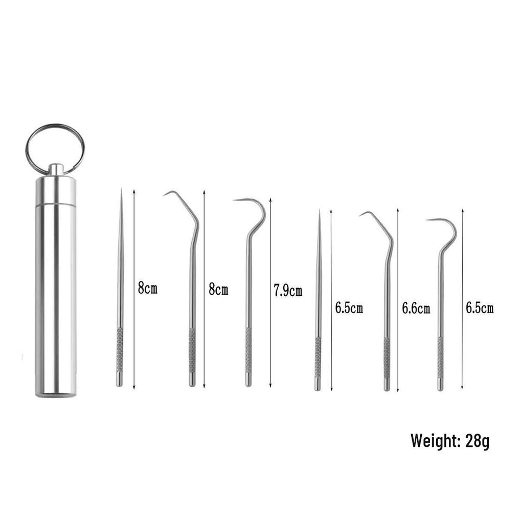 Portable 304 Stainless Steel Toothpick Set with Storage Tube for Oral Care