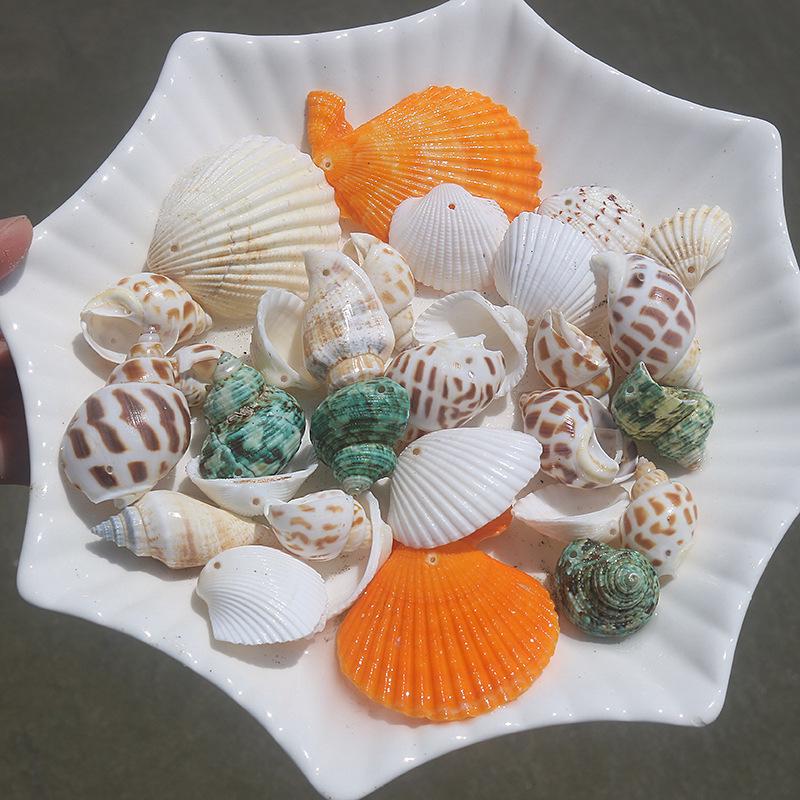 Handmade Natural Seashell Conch & Starfish Frame for DIY Fish Tank or Landscaping