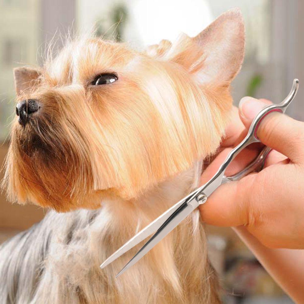 Pet Grooming Scissors Stainless Steel Dog Cat Hair Cutting Thinning Shears Straight Up Curved Hair Dressing Tools