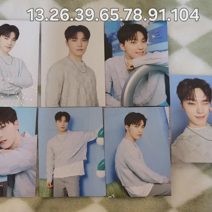 

Seventeen 2024 Home Dino