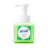 Blue Moon Foam Antibacterial Hand Soap