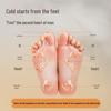 Ai Xiu Tang AP-F2 Mugwort Foot Patch