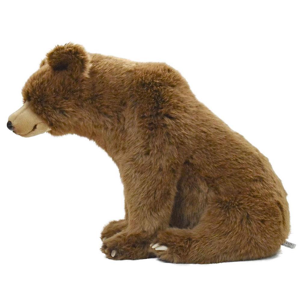 Braunbär Nr. 5731