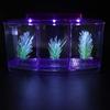 Three Areas Small Aquarium, Transparent Fish Tank, Desktop with Water Change Valve with LED Light for Betta Small Fishes(Purple)
