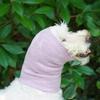 Breathable Dog Head Cover Hearing Protection Pet Ear Cover Practical Calming Dog Hood  Dog Grooming