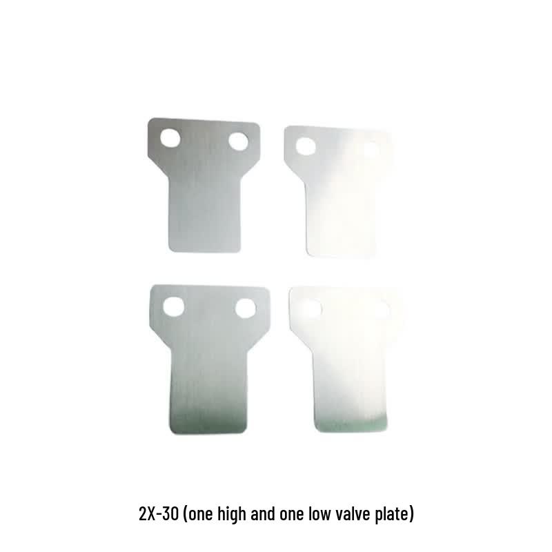 FFY Vacuum Pump Valve Plate 2X-30
