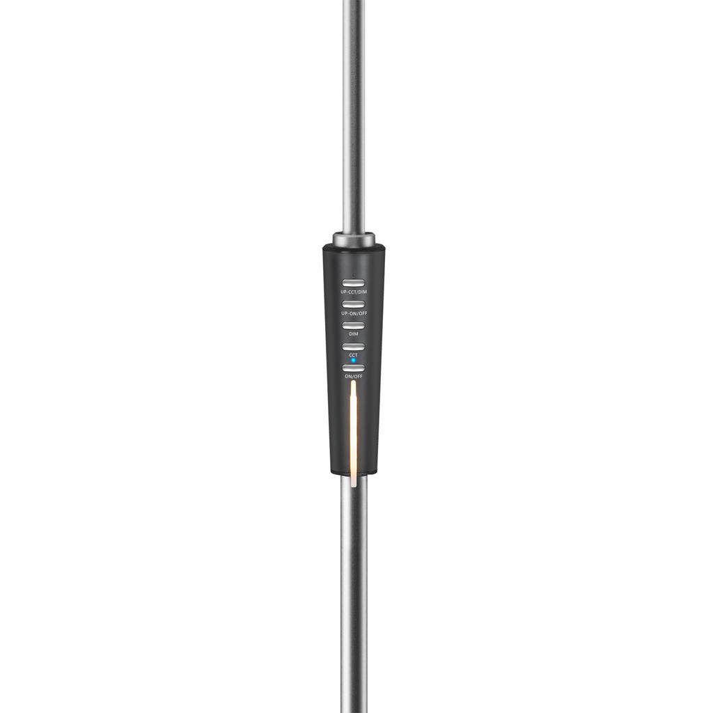 Rebel LED Floor Lamp 12W Adjustable Dimmer Color Change