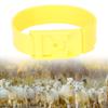 10Pcs Goat Collar Sheep Identification Bands Livestock  ing   Farming Equipment