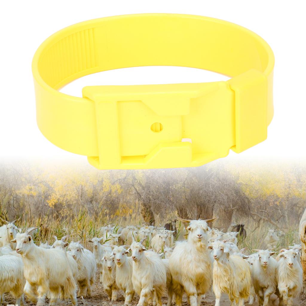 10Pcs Goat Collar Sheep Identification Bands Livestock ing Farming Equipment