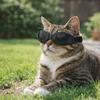 Dustproof Pet Waterproof Glasses Windproof Dog Eye Wear Fashion Anti UV Pet Goggles  Summer Use