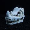 Mini Realistic Rhinoceros Skull Resin Decoration, Fish Tank Landscape Decoration, Skeleton Decoration for Aquariums.
