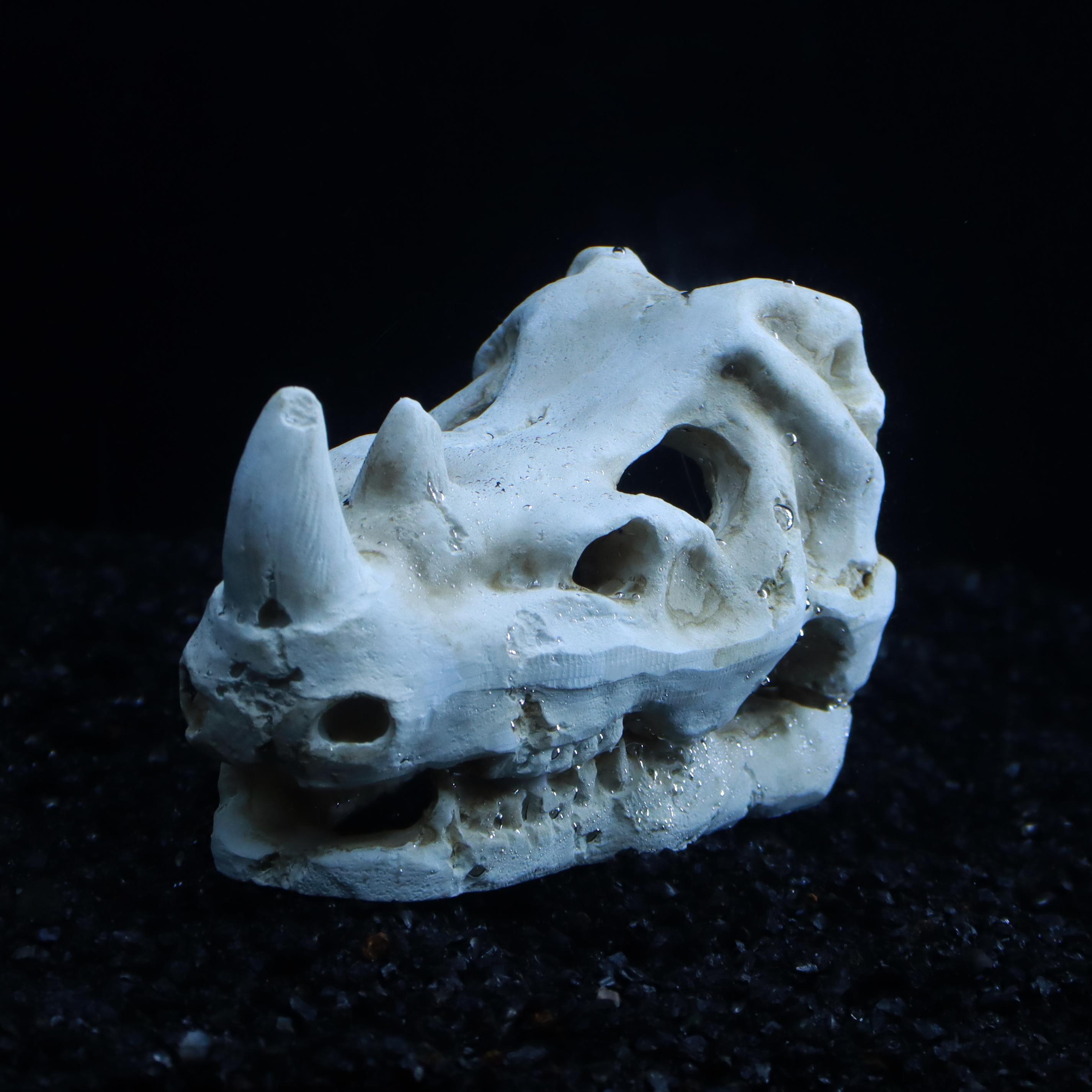 

Mini realistic rhinoceros skull resin decoration, fish tank landscape decoration, skeleton decoration for aquariums. белый