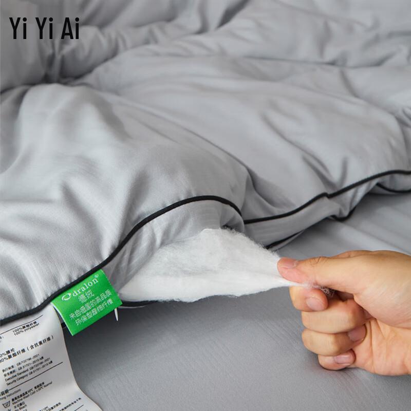 Yiyiai Embossed German Velvet Winter Quilt