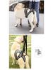 Achterbeenondersteuningsharnas voor Honden met een Handicap en Oudere Honden - Revalidatie & Reis Hulp