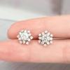 S925 Sterling Silver Moissanite Snowflake Stud Earrings for Women - Sparkly, Elegant, and Fashionable Jewelry