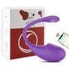 Wireless Bluetooth APP Control Vibratiors Wear Vibrating Stimulator Egg G Spot Dildo Vagina Massager For Women Adults Panties