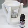 Oil Burner For Wax Melts, White Helping Hand