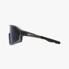 Sunglasses (FLG7049 SMOKYBLACK 133)