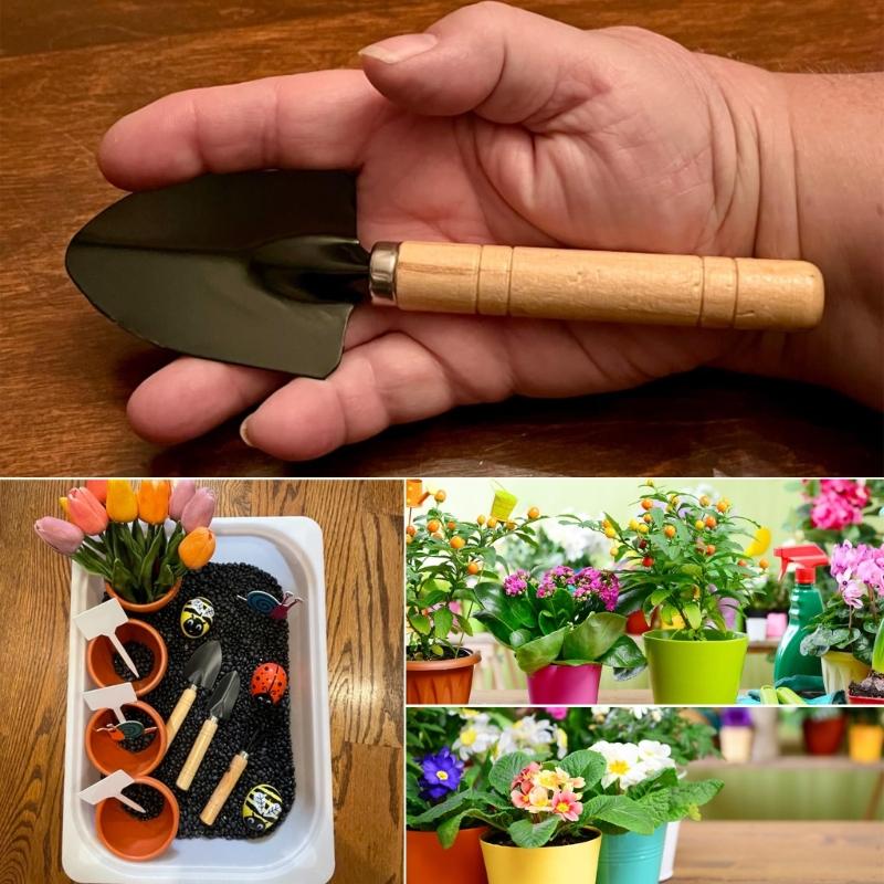 Horticultural Gardening Hand Tool Set of 3 with Metal Shovel Trowel and Rakes Suitable for Home Garden and Balcony Plant