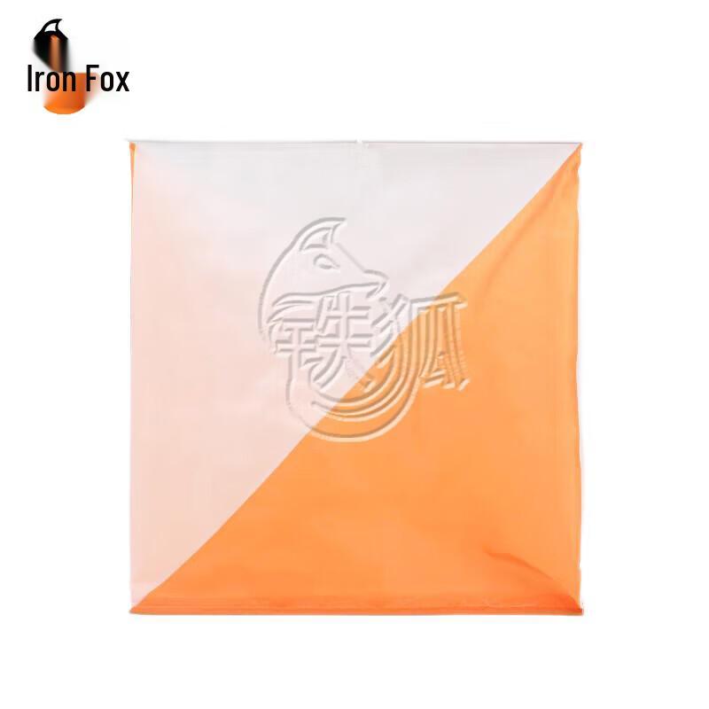 Iron Fox Orienteering Timing System