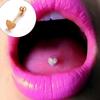 Jewelry Hip Hop Lip Nipple Eyebrow Lobe Rings Nose Septum Ring Horseshoe Ear Piercings Ear Piercing