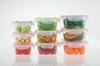 Iwasaki Kogyo Storage Container Smart Flap Rocks Square Large Set of 2 Green 900ml &