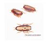 Funny Simulation of Cockroaches Pet Cat Dog Kitten Interactive Training Play Toy.