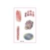 Sweatproof Bruise Scab Scar Tattoo Sticker Waterproof Zombie Cosplay Props  Festival Carnival