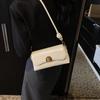 Retro High-end Underarm Red Bag Women's 2025 New Winter Trendy Fashion Commuter Portable Messenger Baguette Bag