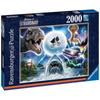Puzzle 2000 Pieces Universal Cult Films - Ravensburger - Cinema - Adult - Multicolor
