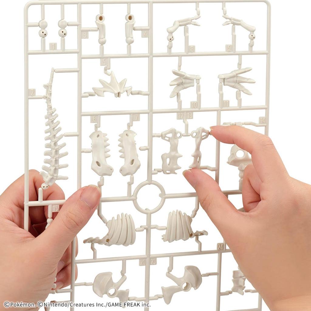 BANDAI SPIRITS Plastikový model Kolekce Série Fosilie Tyrantrum Plastikový modelový kit Pokémon Pokémon (Předbarvené)