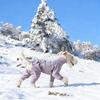 Dog Outdoor Cold Proof Clothing Warm Sports Pet Clothing For Dog Autumn Winter Keep Warm Four LegDog Full Pack Cotton Jacket